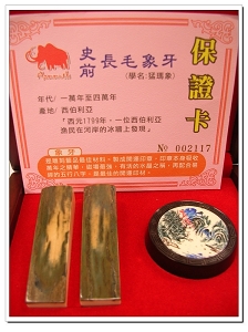 長毛象牙對章